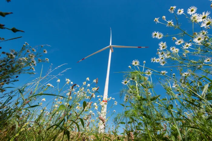 Windrad im Grünen